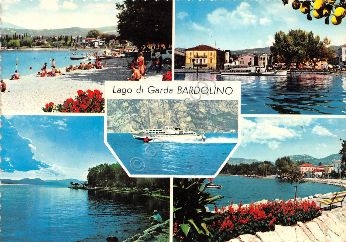 Verona Stampa Antica Lago di Garda Passepartout 1901 Bardolino: Panorama 