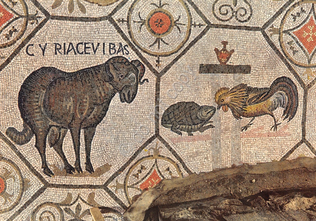 Cartolina Aquileia Basilica Cripta degli scavi mosaico ariete e lotta del gallo (Gorizia)