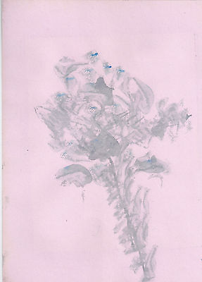 Acquerello - Watercolour - Fiori con Boccioli - 1987